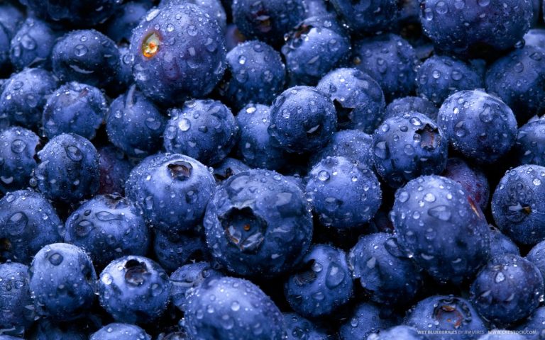 Read more about the article Blueberry, o Melhor alimento para os Olhos