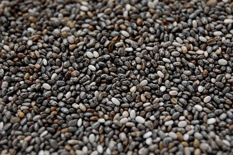 Read more about the article Os segredos da Semente de Chia