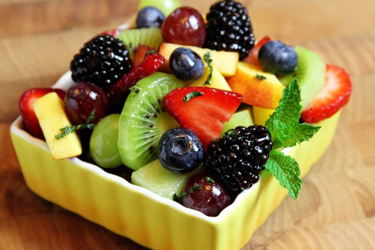 Read more about the article As Fibras Vegetais
