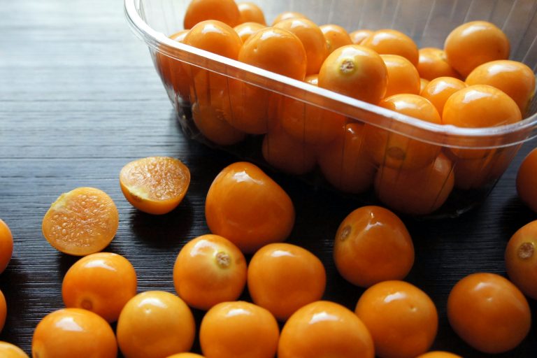 Read more about the article O Alimento Mais Completo de Origem Vegetal!
