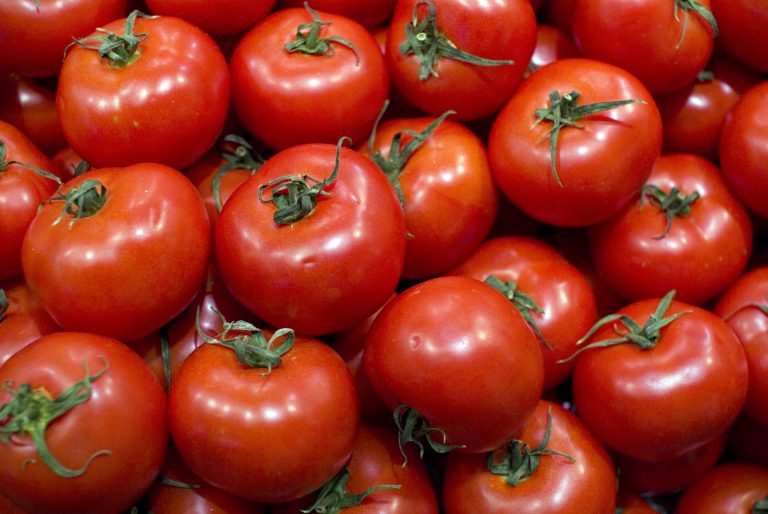 Read more about the article Tomate, o vermelhinho do bem!