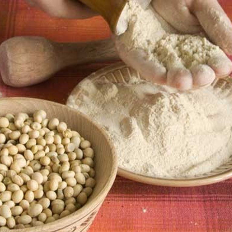 Read more about the article Soja, o funcional que funciona!