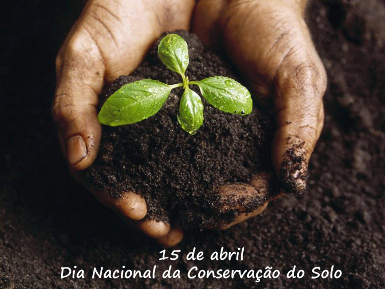 Read more about the article 15.04 – DIA DA CONSERVAÇÃO NACIONAL DO SOLO