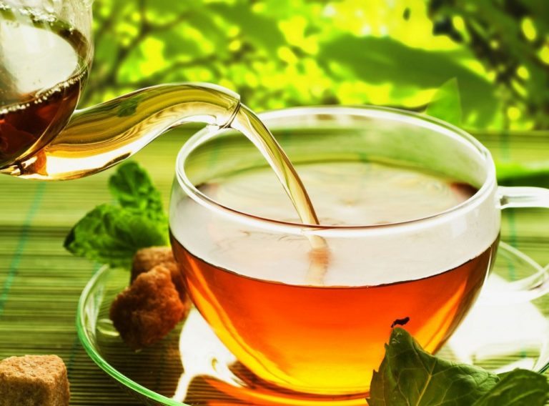 Read more about the article Especial Fitoterapia: Chá de Hortelã e Espinheira Santa
