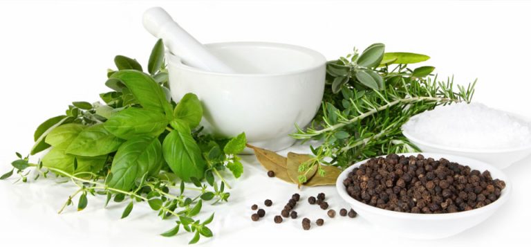 Read more about the article Especial Fitoterapia. Conheça o poder das Ervas Medicinais!