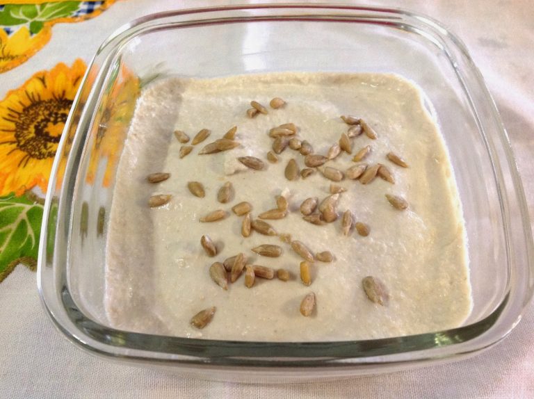 Read more about the article Patê vegetariano de semente de girassol