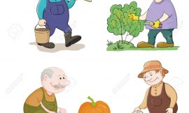 28.07: Dia do Agricultor