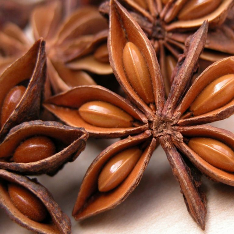 Read more about the article Especial de chás: Anis